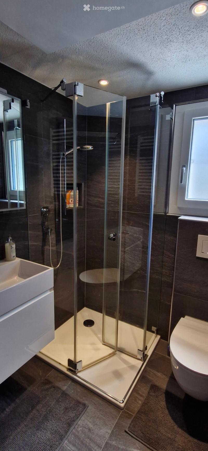 Modern bathroom with a glass-enclosed shower, a white sink, and a toilet. Dark tiles on walls and floor, with a small window providing natural light.