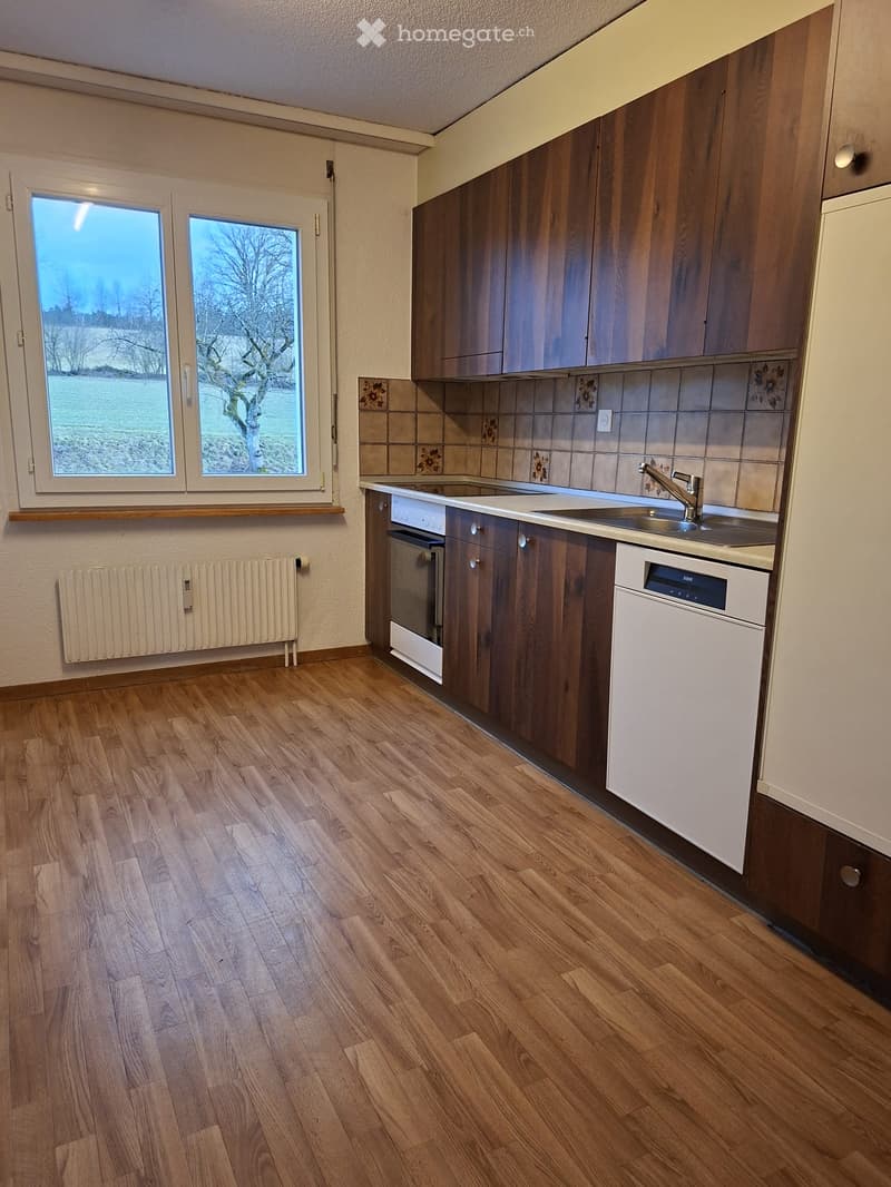 kitchen area with sink, stove, dishwasher, cabinets, radiator