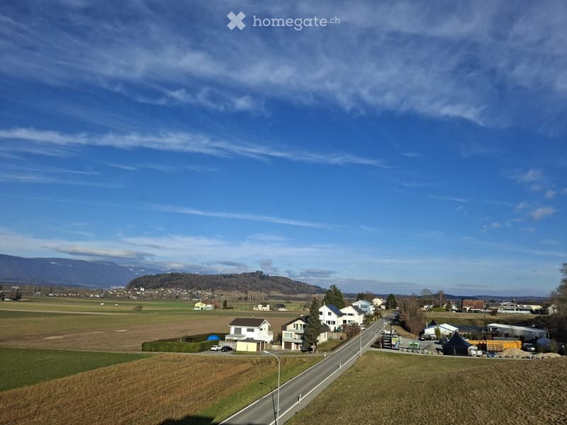 Rural area with a wide road, houses, cars, distant mountains, a blue sky with clouds, and a green field