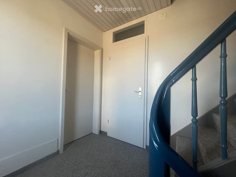 A narrow hallway with a blue handrail on the right side, leading to a closed white door with a small window at the top. The floor is carpeted, and the walls are painted white.