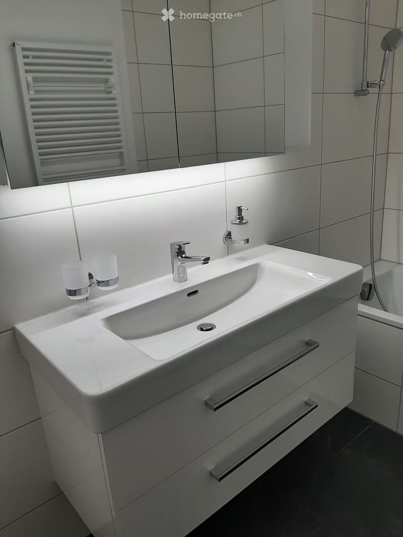 Modern bathroom with a white sink, chrome faucet, built-in cabinet, and a large mirror above the sink.