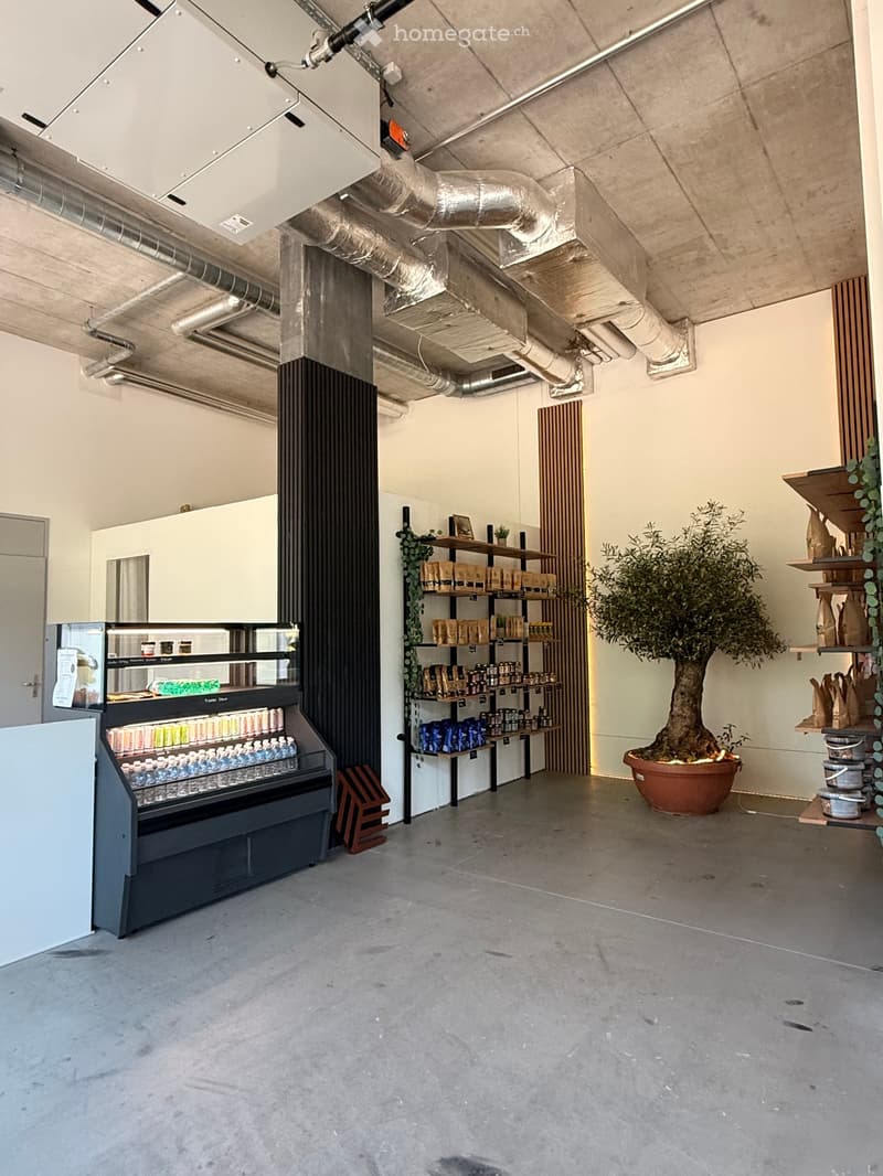 Modern, minimalist interior with exposed concrete floors and walls, featuring a refrigerator, shelves with products, and a large potted tree.
