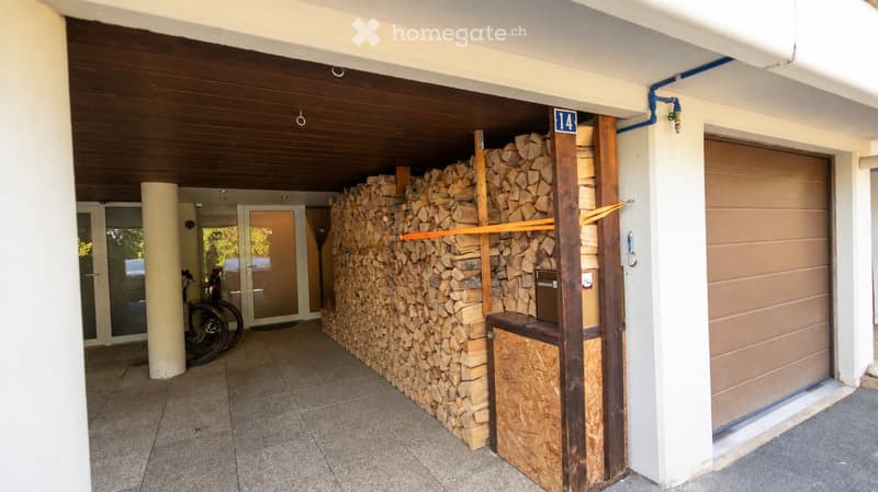 {"type": "Garage", "objects": [], "description": "Garage with a large stack of firewood, a closed garage door, and a bicycle leaning against a pillar.", "localized_descriptions": {"EN": "Garage with a large stack of firewood, a closed garage door, and a b