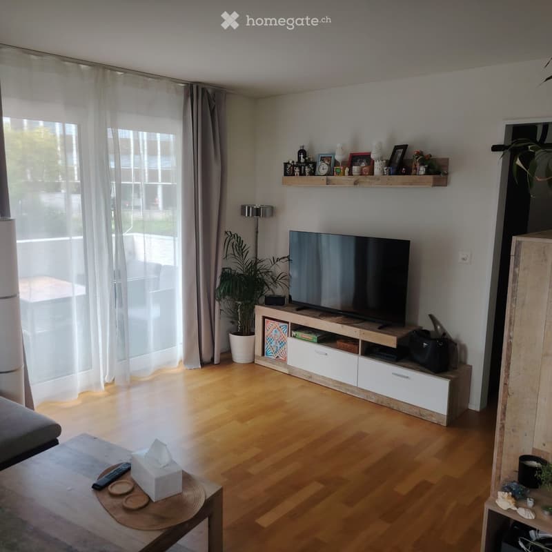 Modern living room with wooden flooring, large windows with sheer curtains, a grey sofa, a coffee table with a tissue box and remote control, a television on a wooden and white entertainment unit, a potted plant, and a floor lamp.