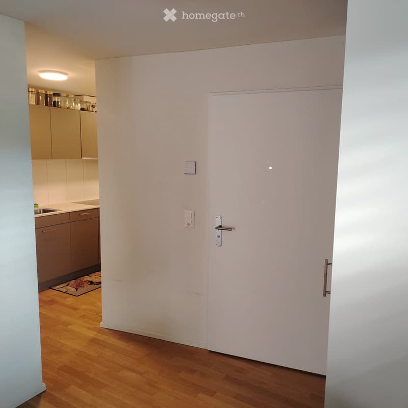 A narrow hallway with wooden flooring, white walls, and a closed white door on the right. A small rug is visible near the kitchen entrance.