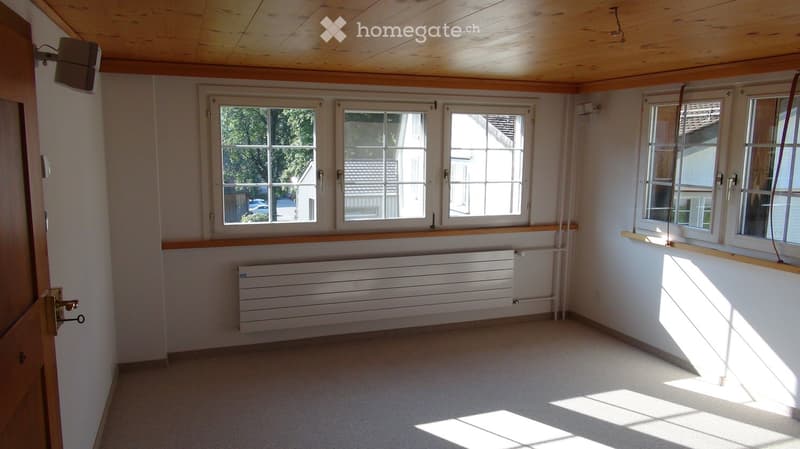 Empty room with wooden ceiling, large windows, radiator, and carpeted floor.