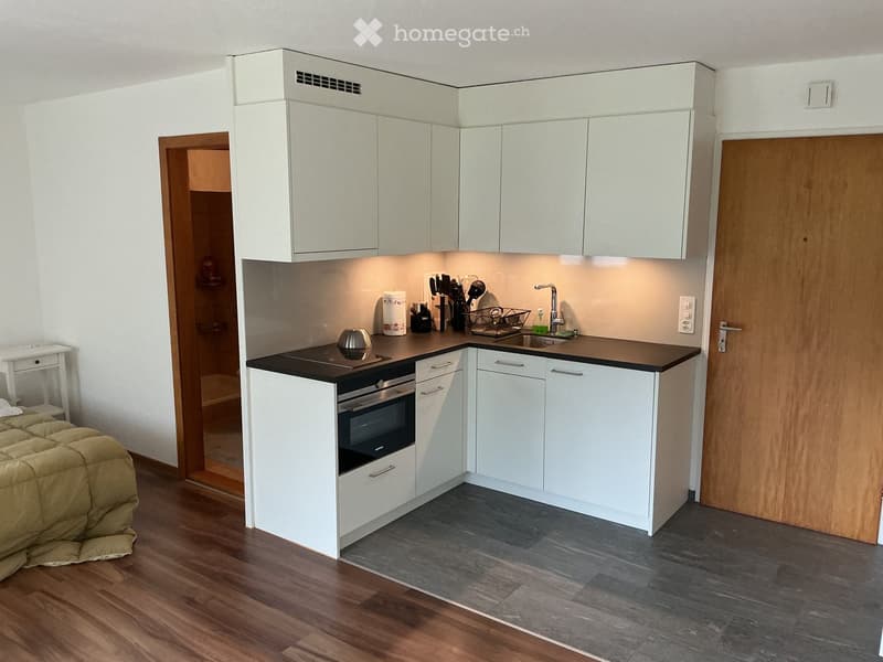 {"type": "Furnished Room", "objects": ["oven", "sink", "faucet", "cabinets", "countertop", "cutting board", "faucet", "oven", "oven", "oven", "oven", "oven", "oven", "oven", "oven", "oven", "oven", "oven", "oven", "oven", "oven", "oven", "oven", "oven", "
