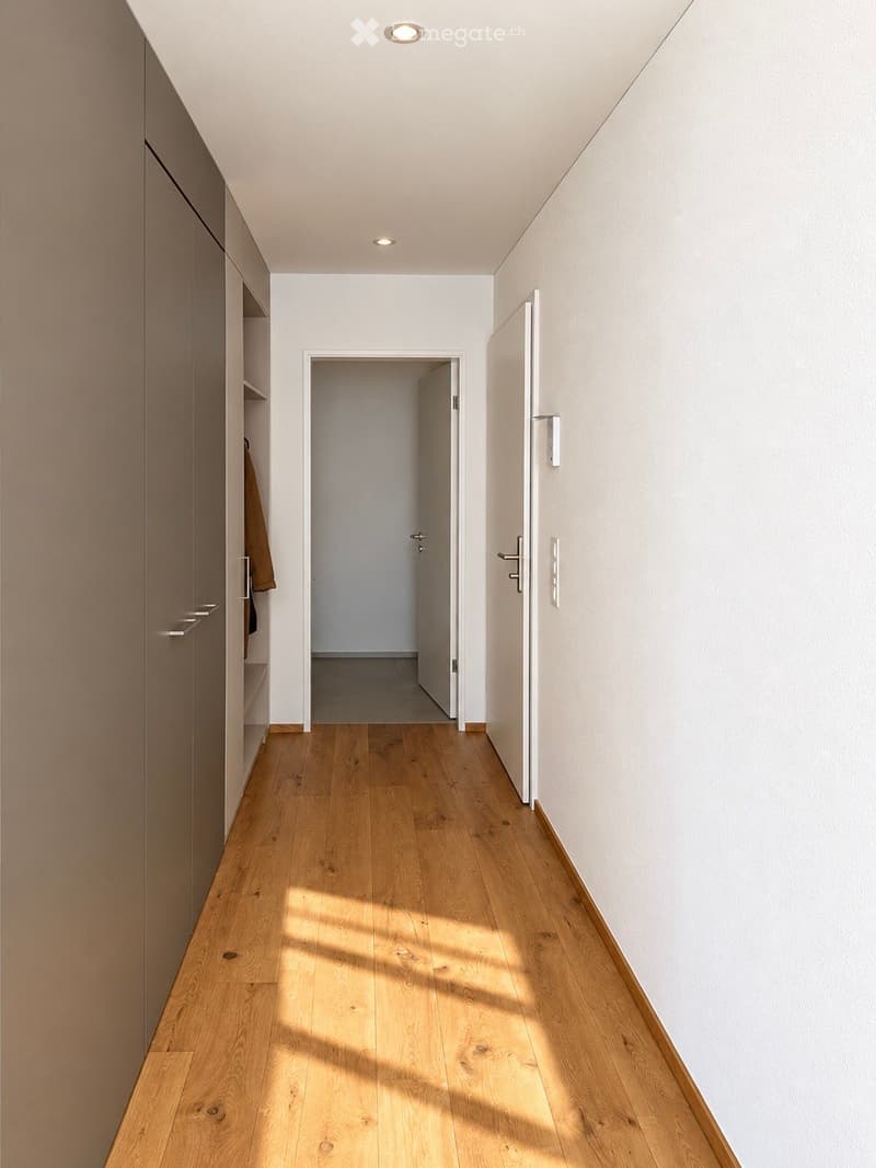 Modern hallway with light wooden flooring, white walls, built-in closet with shelves, and recessed ceiling lighting. Sunlight streams in from an unseen source, casting shadows on the floor.