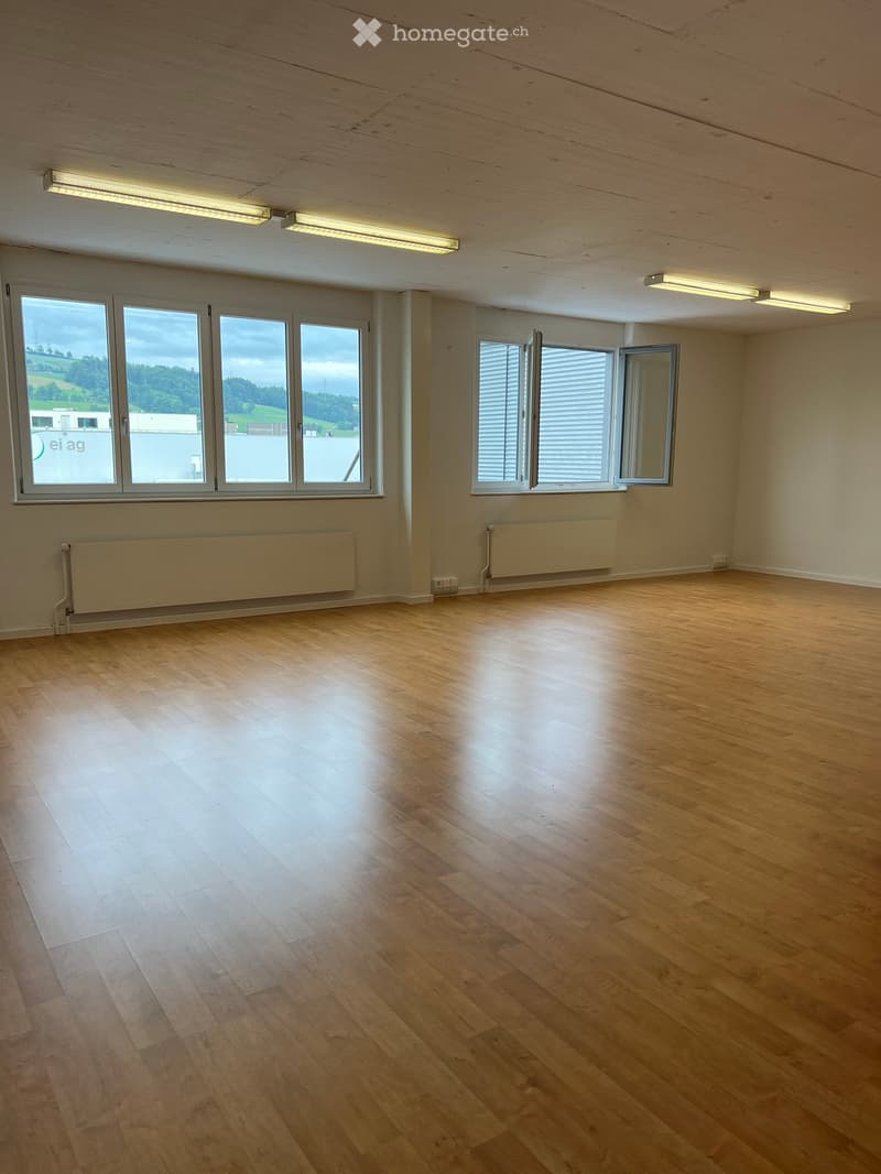 Heller Gewerberaum (100 m² / 3m Raumhöhe) an Top-Lage in Sursee zu vermieten (2)