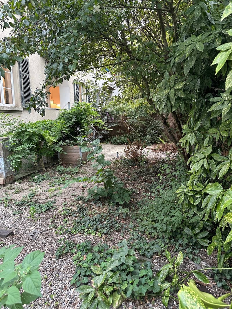 Garden area with various plants, trees, and a paved pathway, featuring a house with windows and shutters in the background.