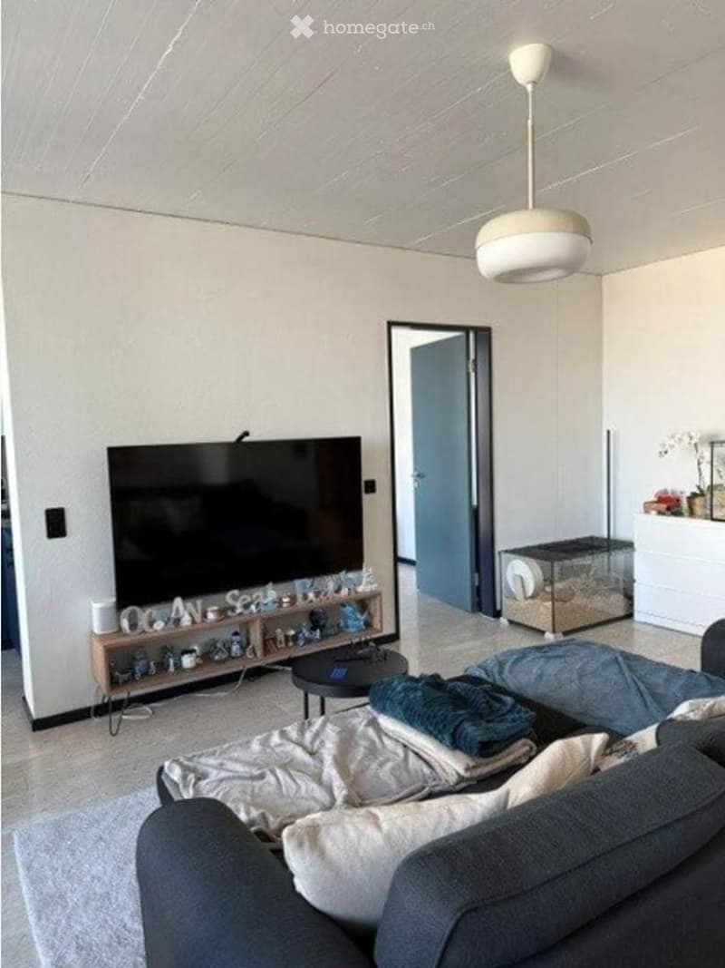 Modern living room with a grey sectional sofa, coffee table, large flat-screen TV, decorative shelf, and a small pet cage. The space features a sleek, minimalist design with neutral tones and contemporary furniture.