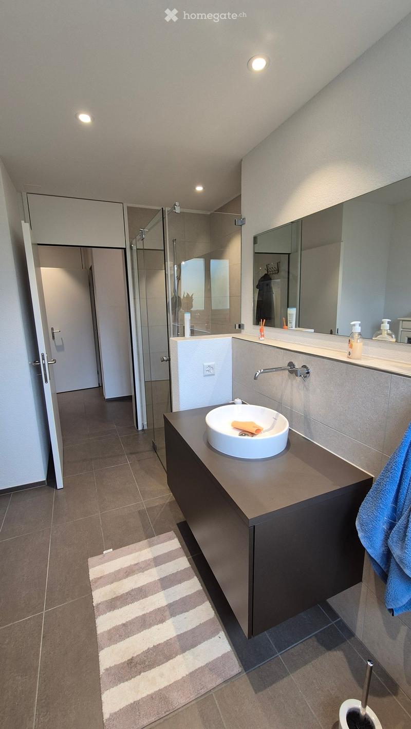 Modern bathroom with a white sink, dark countertop, large mirror, and glass-enclosed shower. Features include a striped rug, towel, and small toiletries on the counter.