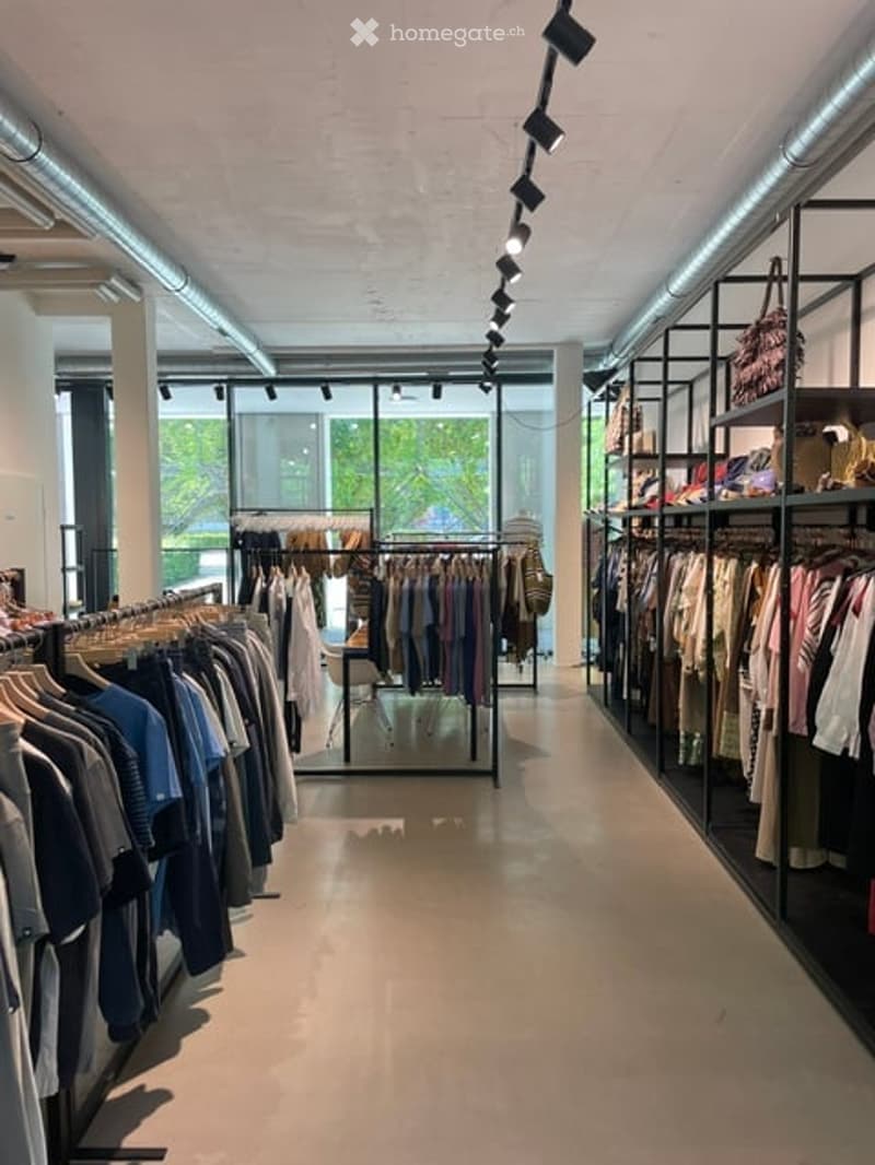 Modern clothing store interior with clothing racks, shelves, and hanging clothes. Natural light from large windows.