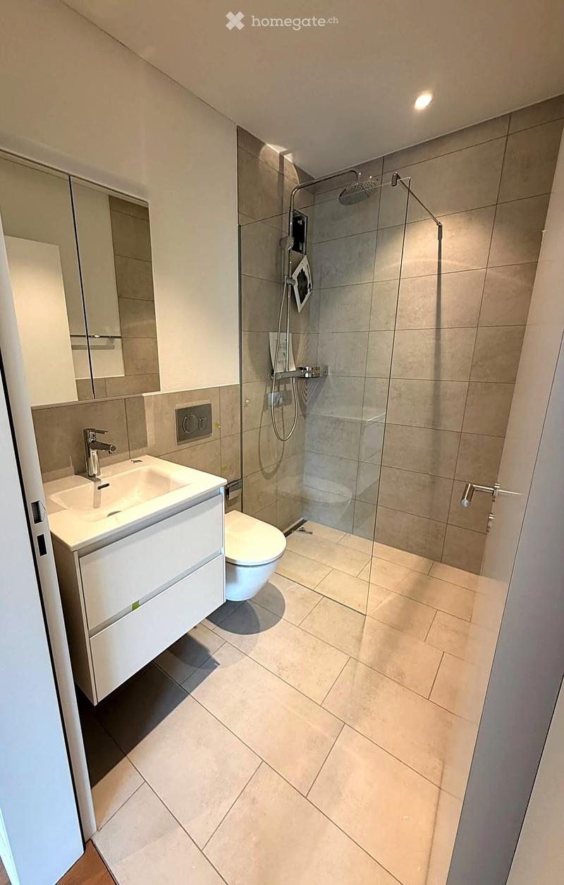 Modern bathroom with a white sink, mirror, toilet, and a glass-enclosed shower with a modern showerhead.