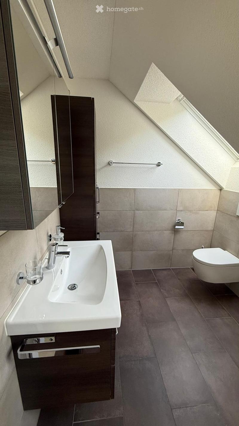 Modern bathroom with a white sink, chrome faucet, dark wooden cabinet, and a toilet. The room features beige tiled walls and dark tiled flooring, with a large mirror and a skylight window providing natural light.