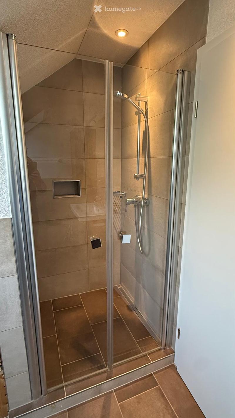Modern bathroom with a glass-enclosed shower, tiled walls and floor, and a sleek showerhead with multiple spray options.