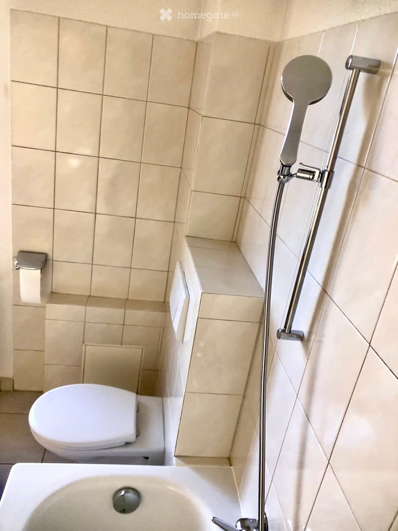 Modern bathroom with beige tiled walls and floor, featuring a white toilet, bathtub, and a handheld showerhead with a chrome rail.
