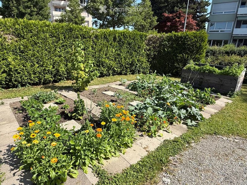Well-maintained garden with a variety of plants, flowers, and vegetables arranged in raised beds and pathways.