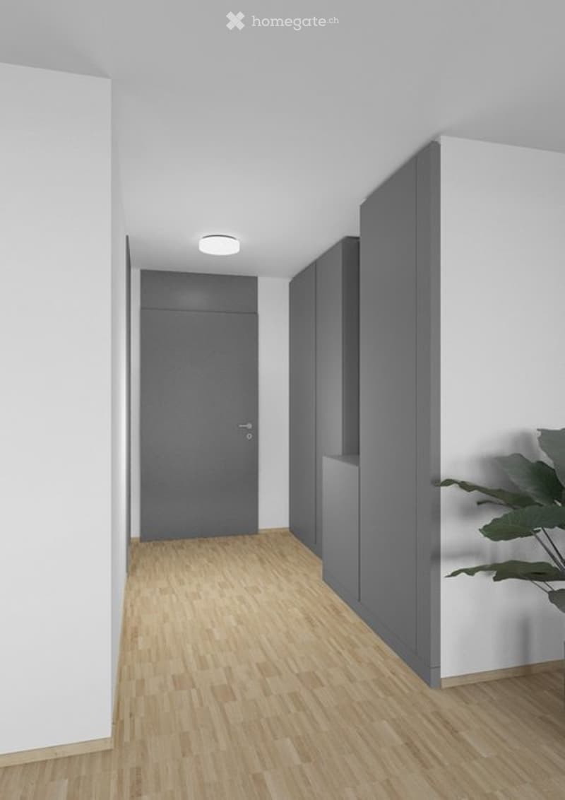 Modern hallway with light wooden flooring, white and grey walls, a closed door, and a built-in cabinet. A small plant is visible on the right side.