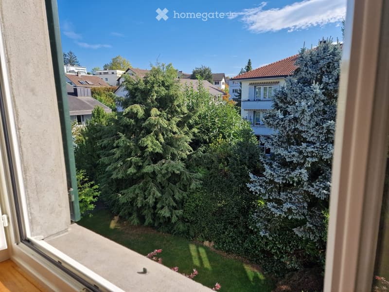 View from a window showing a well-maintained garden with various trees and shrubs, surrounded by neighboring houses under a clear blue sky.