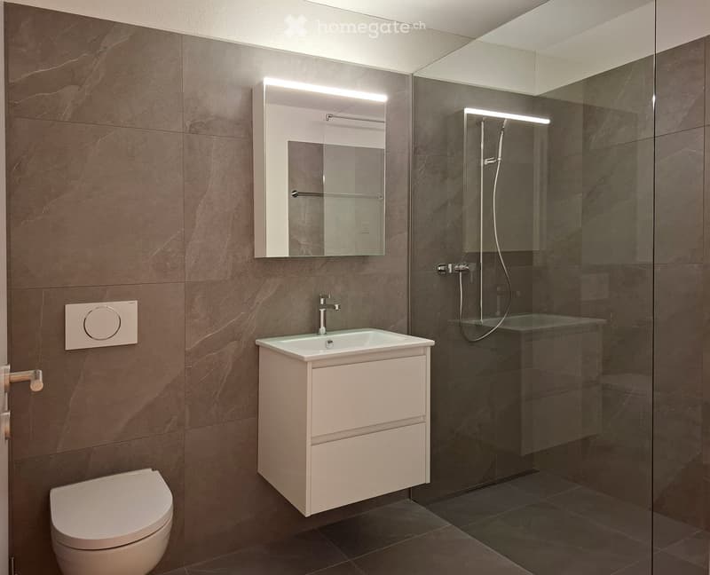 Modern bathroom with dark brown tiles, a white sink with a cabinet, a toilet, a mirror with built-in lighting, and a glass-enclosed shower with a handheld showerhead.