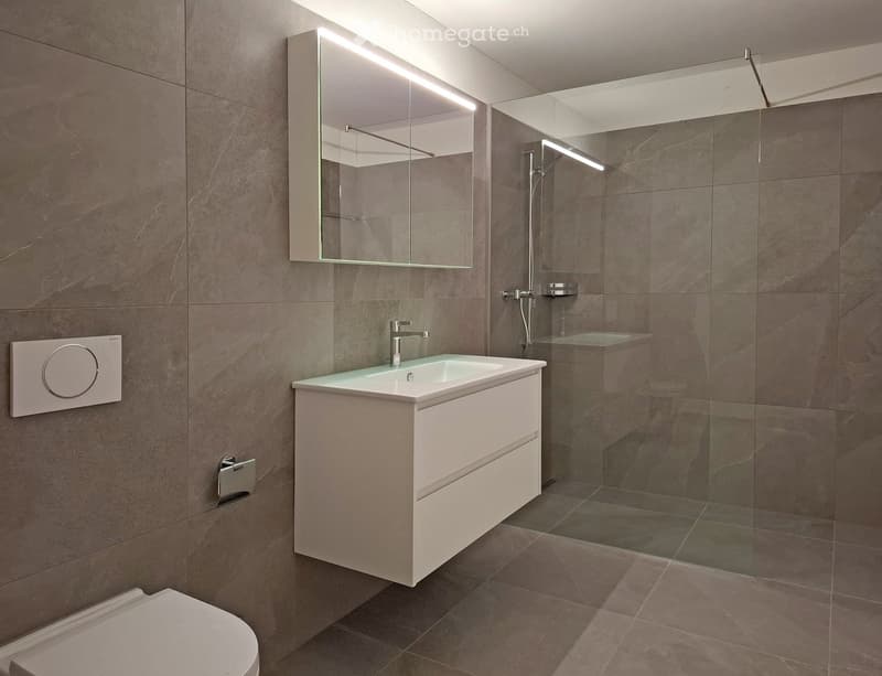 Modern bathroom with a white sink, mirrored cabinet, glass shower enclosure, and a toilet. The walls and floor are covered in grey marble tiles.