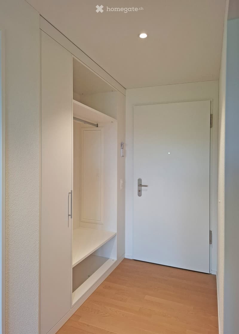 A narrow hallway with light-colored wooden flooring, white walls, built-in closet with shelves, and a closed door at the end.