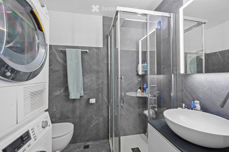 Modern bathroom with a glass-enclosed shower, a white sink, a toilet, a washing machine, and a towel hanging on a rack.