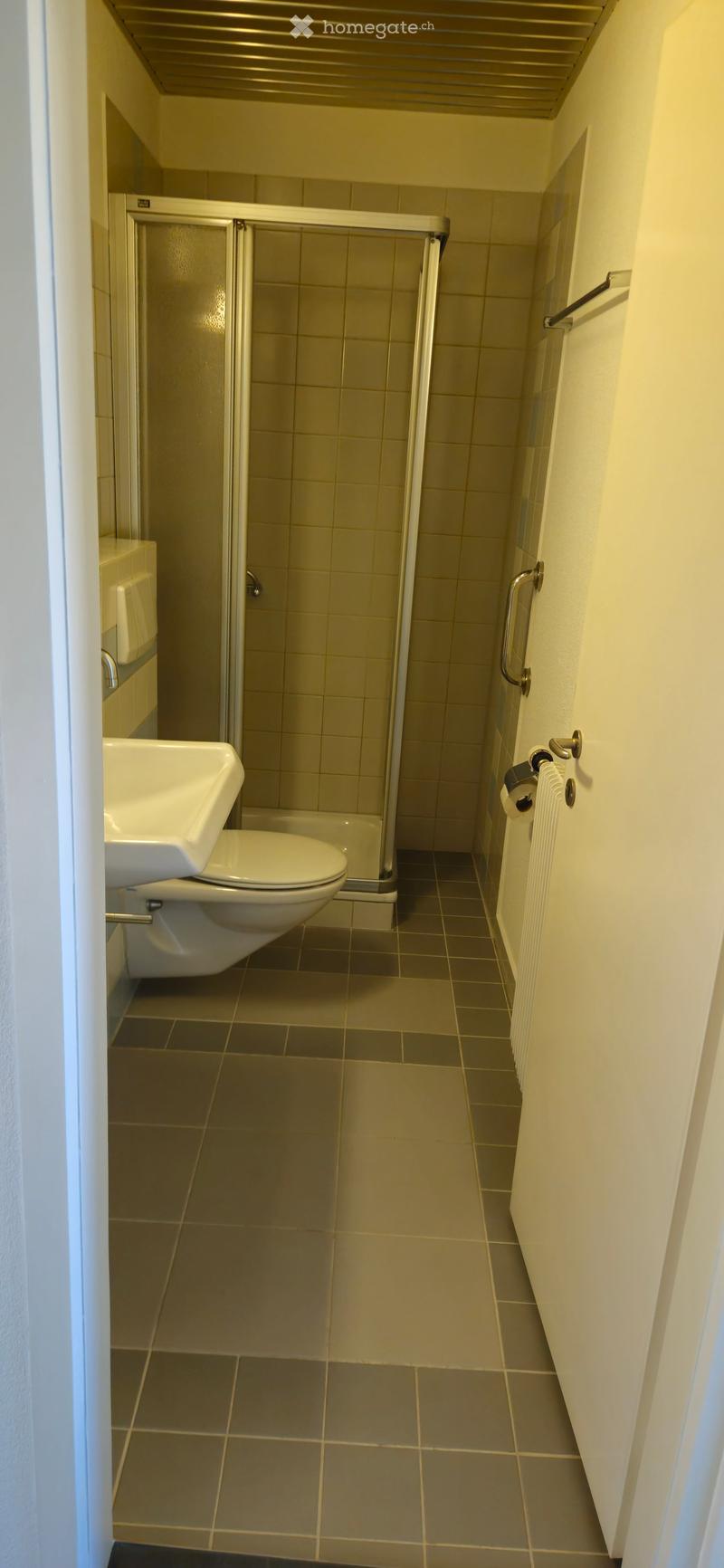 Modern bathroom with tiled walls and floor, featuring a toilet, sink, and a glass-enclosed shower stall.