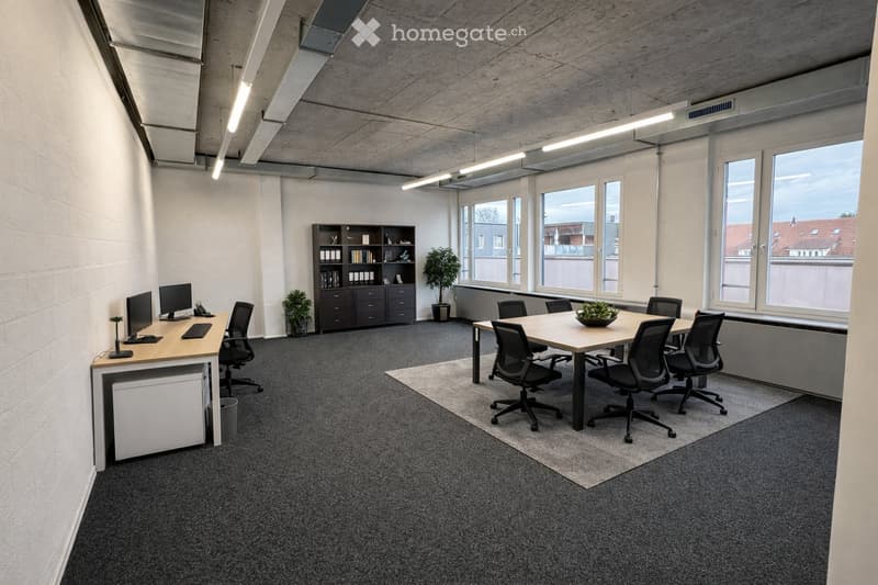Modern office space with a desk, chairs, a meeting table, office chairs, a bookcase, and potted plants. Large windows provide natural light.