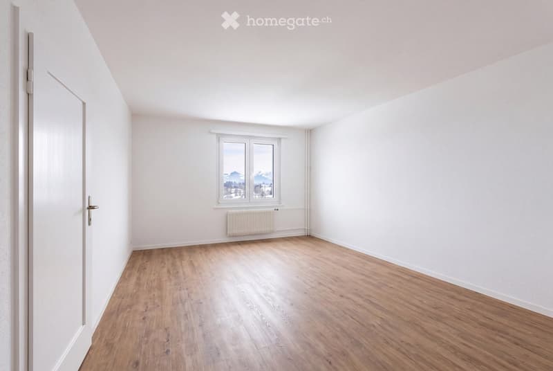 Empty room with light wooden flooring, white walls, a window with a scenic view, and a radiator below the window.
