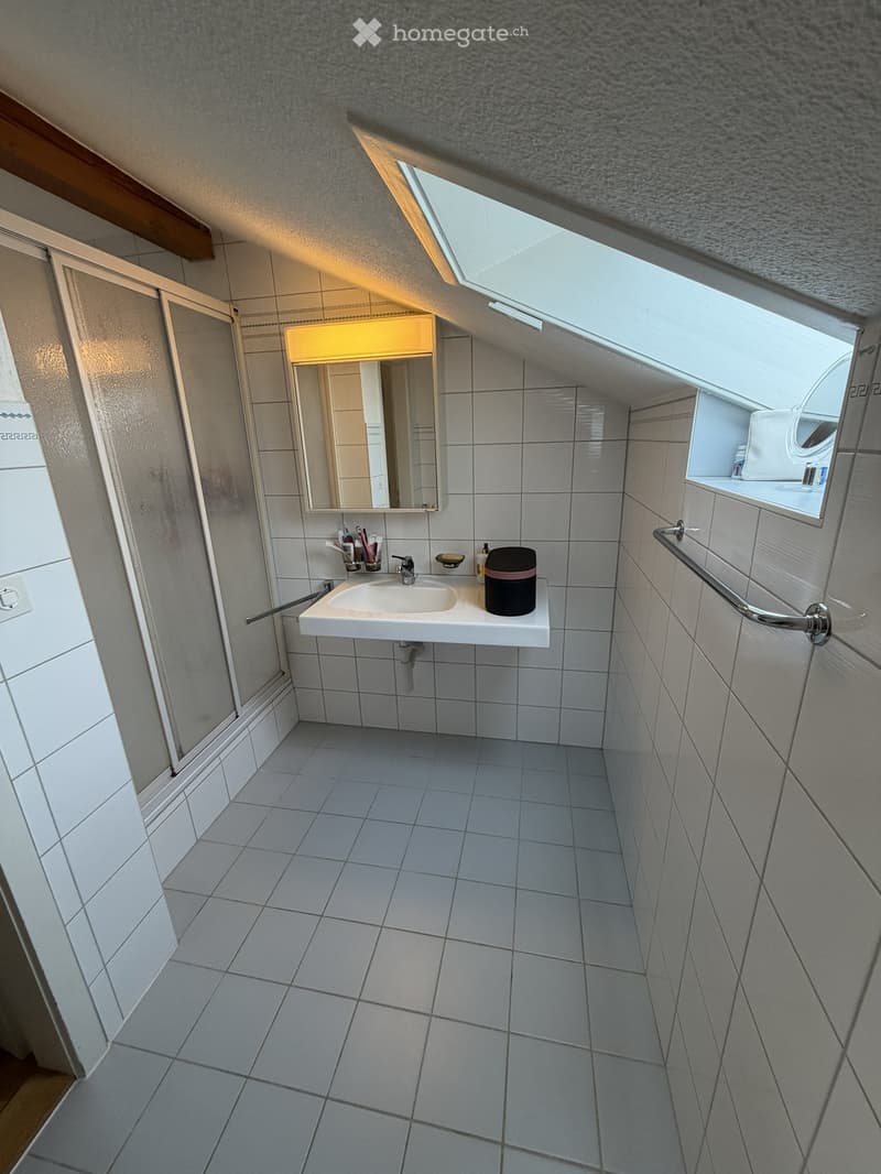 Small, tiled bathroom with a white sink, mirror, and built-in storage shelf. Features a skylight window and handrails for accessibility.