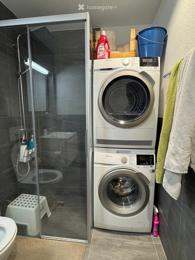 Bathroom with a toilet, shower, washing machine, and a small stool. A towel hangs on the wall, and a bottle of detergent is placed on top of the washing machine.
