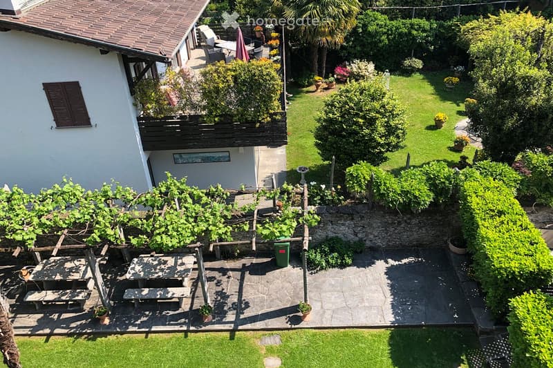 Backyard with terrace and garden furniture, trellis with plants, trash bins, green lawn, shrubs and flower pots, stone pavement, trees and plants.