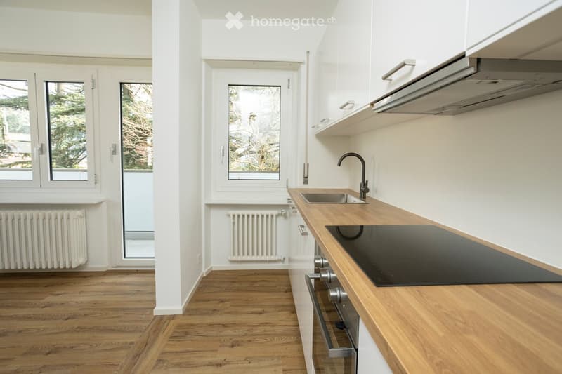 Elegante attico con licenza di residenza secondaria - Posizione strategica (3)