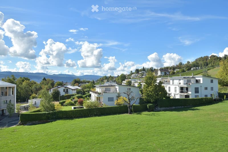 A well-maintained lawn with a hedge border, surrounded by residential buildings and trees, with a scenic mountain backdrop under a partly cloudy sky.
