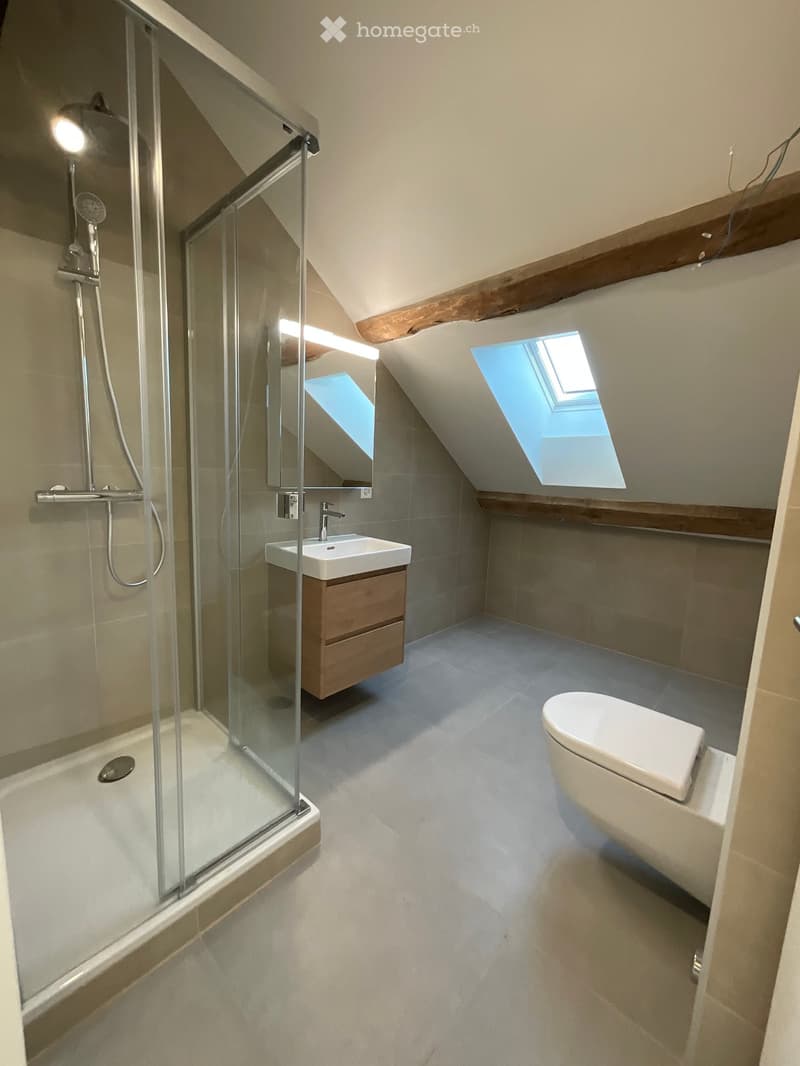 Modern bathroom with a glass-enclosed shower, toilet, sink, and skylight windows.