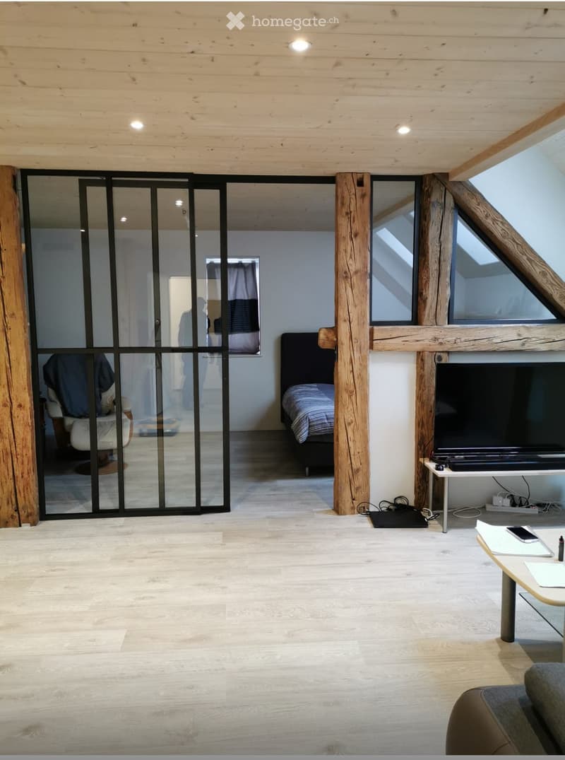 Modern, open-concept living space with wooden floors, exposed wooden beams, and large glass sliding doors leading to another room. Features a sofa, a small table with a laptop, a TV on a stand, and a bed visible through the glass doors.