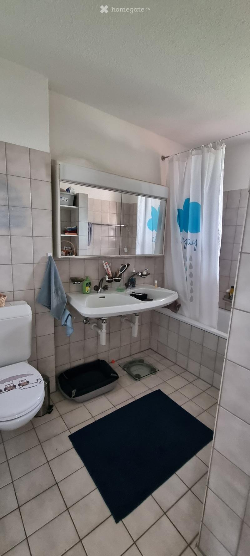 Bathroom with a toilet, double sink, mirror, shower curtain, bath mat, cat litter box, and a scale on the floor.