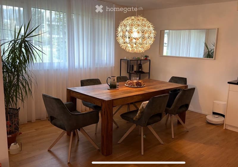 Dining room with a wooden dining table, six grey chairs, a decorative pendant light, a shelf with various items, a mirror, and a potted plant near the window.