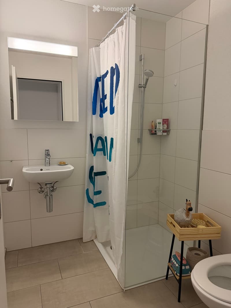 Modern bathroom with a white sink, mirror, glass-enclosed shower with a white curtain, and a small wooden tray holding decorative items near the toilet.