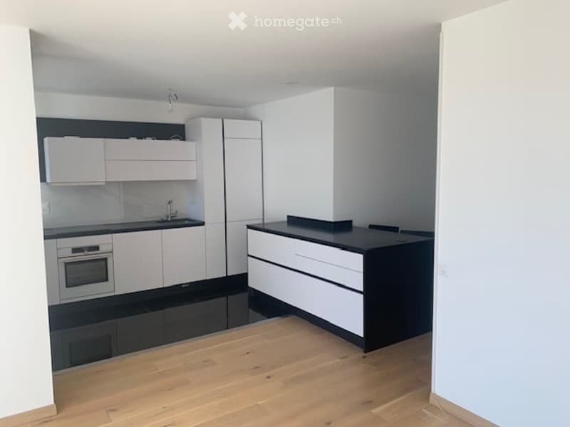 Appartement 4 pièces -2ème Etage avec grande  terrasse à Meyrin avec parking privé et cave (7)