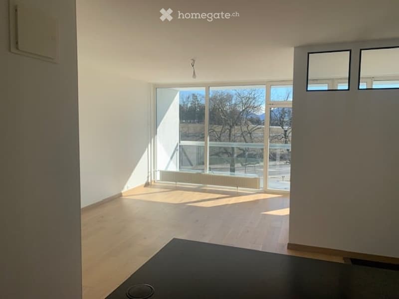 Appartement 4 pièces -2ème Etage avec grande  terrasse à Meyrin avec parking privé et cave (3)