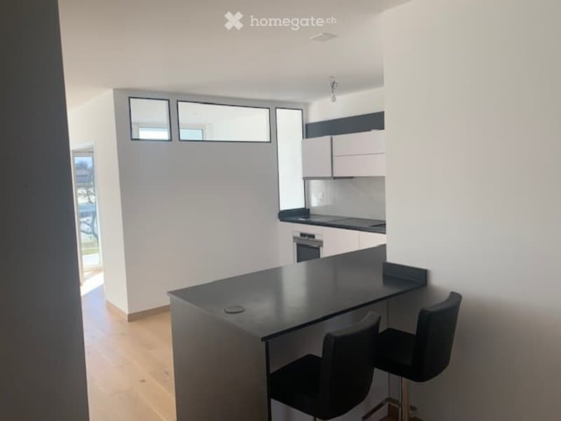 Appartement 4 pièces -2ème Etage avec grande  terrasse à Meyrin avec parking privé et cave (4)
