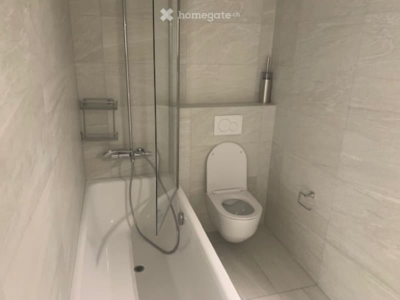 Appartement 4 pièces -2ème Etage avec grande  terrasse à Meyrin avec parking privé et cave (9)