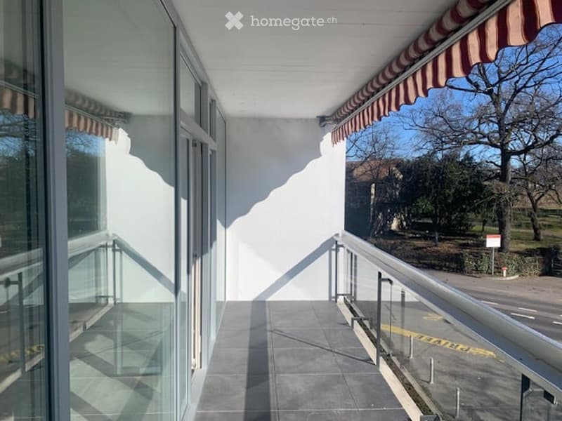 Appartement 4 pièces -2ème Etage avec grande  terrasse à Meyrin avec parking privé et cave (2)