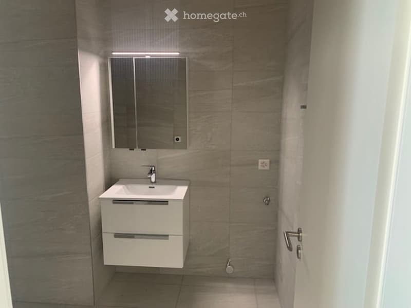 Appartement 4 pièces -2ème Etage avec grande  terrasse à Meyrin avec parking privé et cave (8)