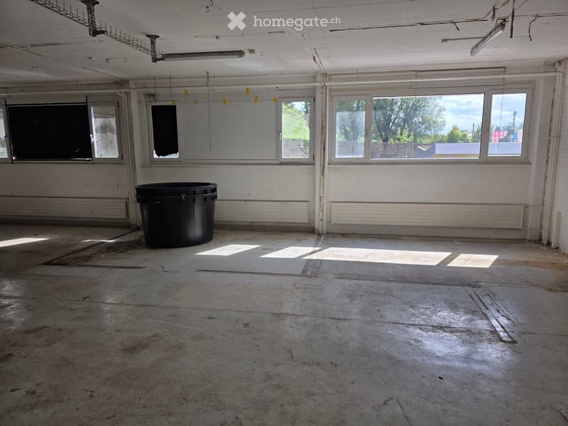 Empty room with bare concrete floor, white walls, large windows, and a single black trash bin.