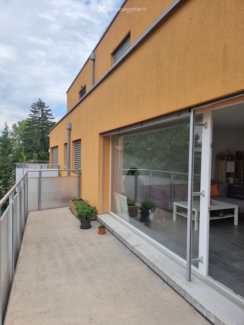 Balcony with modern glass sliding doors, metal railing, and potted plants.