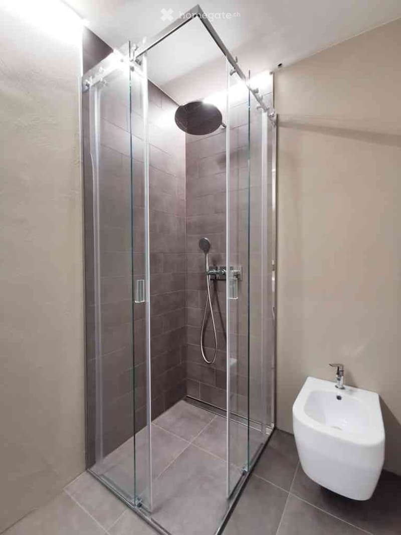 Modern bathroom with a glass-enclosed shower, a round showerhead, a sleek faucet, and a white bidet.